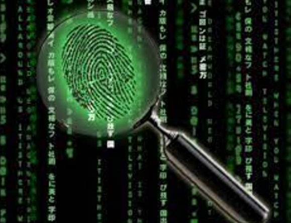 Perícia Judicial em Computação Forense Digital